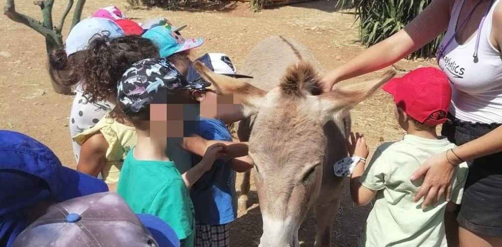 Επίσκεψη στη γαϊδουροχώρα!